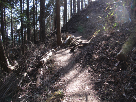 20180116hike (136)